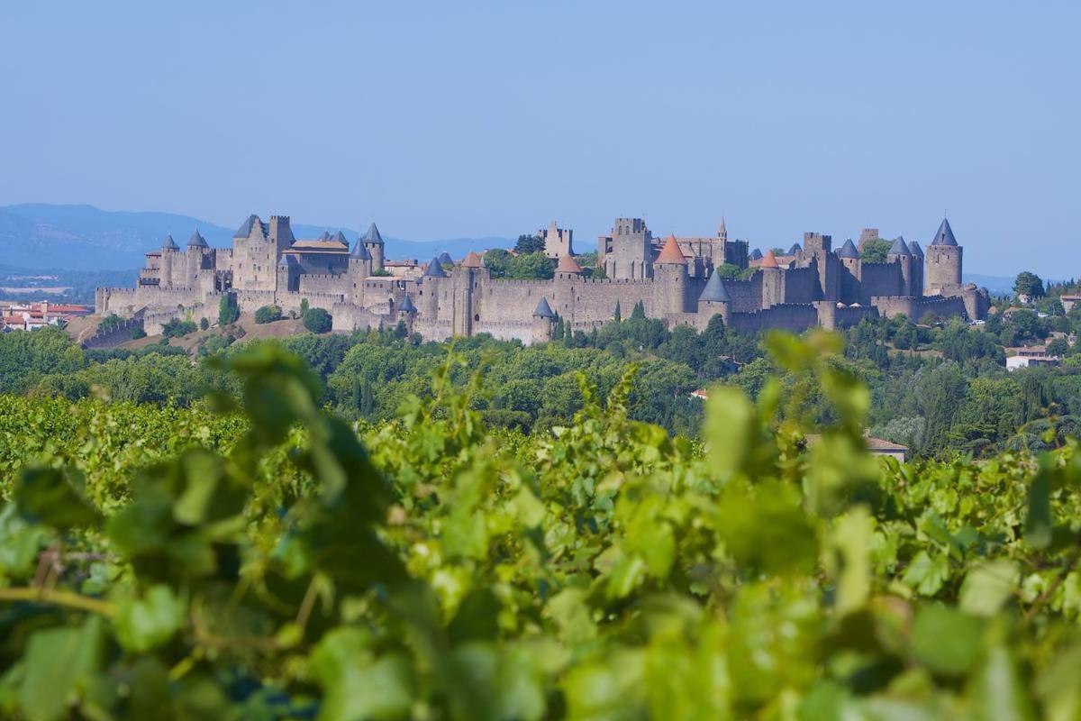 Tout Confort ! Calme, Climatisation, Piscine, Parking Gratuit, Grande Terrasse, Netflix, Wifi Carcassone Kültér fotó