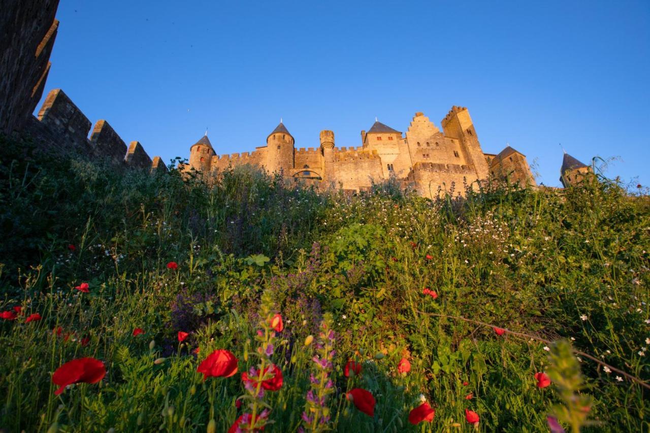 Tout Confort ! Calme, Climatisation, Piscine, Parking Gratuit, Grande Terrasse, Netflix, Wifi Carcassone Kültér fotó
