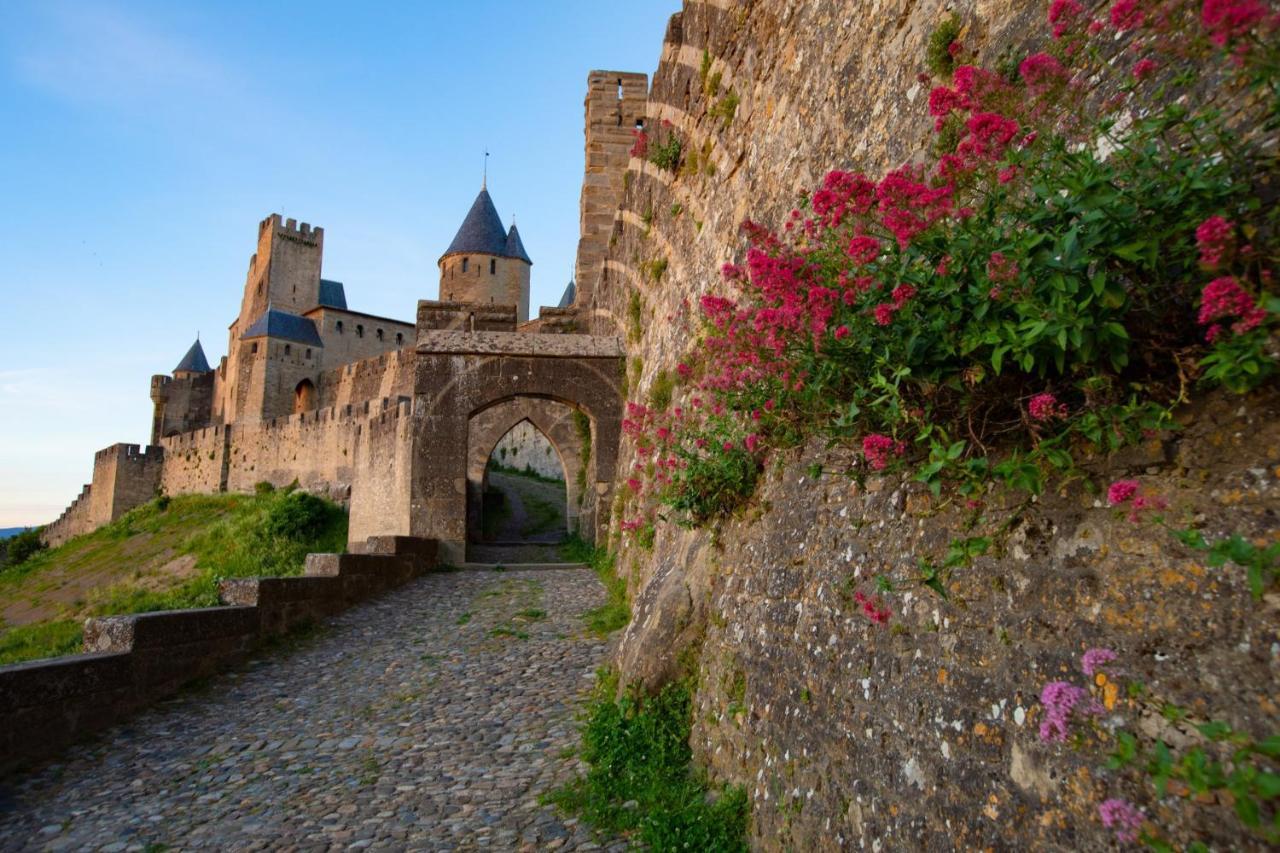 Tout Confort ! Calme, Climatisation, Piscine, Parking Gratuit, Grande Terrasse, Netflix, Wifi Carcassone Kültér fotó
